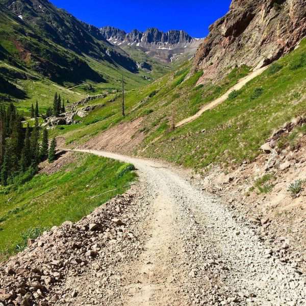 lake city alpine 50