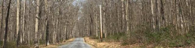 cycling pennsylvania rothrock state park
