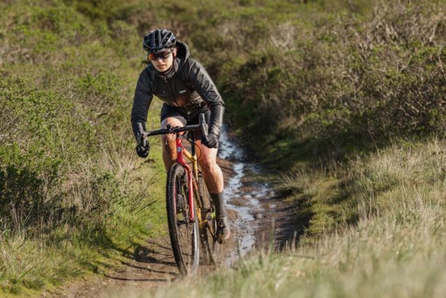 wtb venture 700c