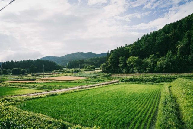 grinduro japan