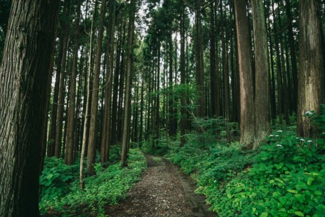 grinduro japan