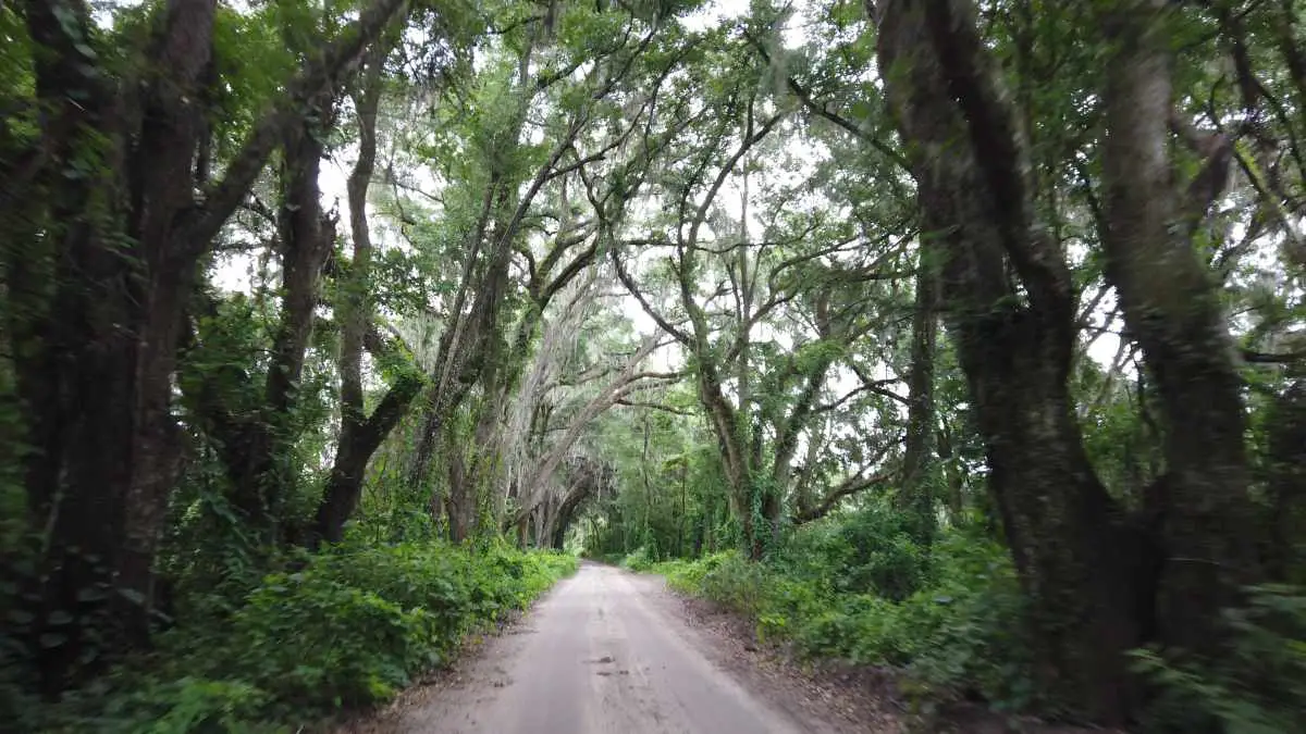 gainesville florida gravel cycling