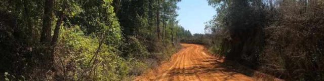 jo dirt gravel race series