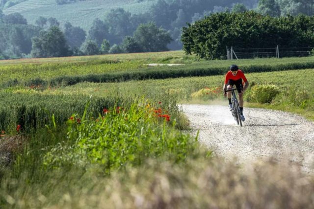 pirelli cinturato gravel tires