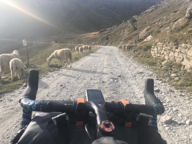 2019 torino-nice rally
