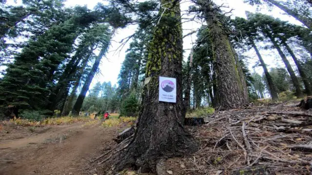 2019 grinduro california race report