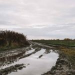 gravel cycling in hungary