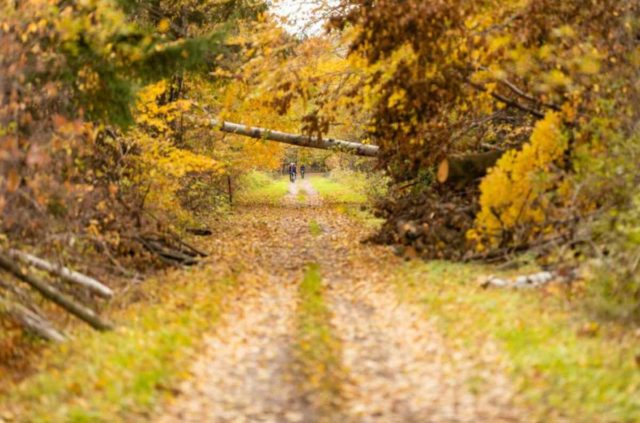 ironbull gravel grinder race report 2019