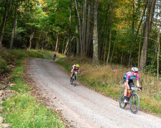 2019 quick and the dead race report