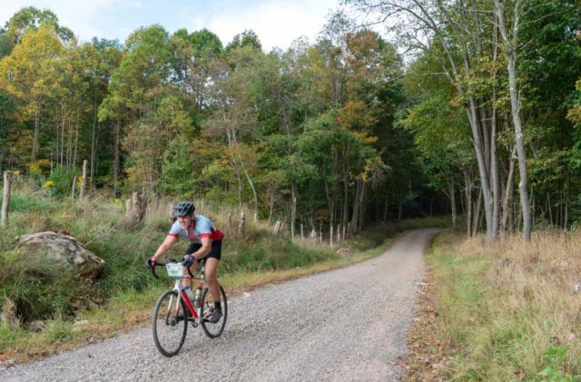 2019 quick and the dead race report