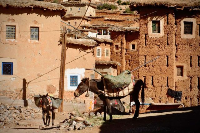 epic gravel race morocco 2020