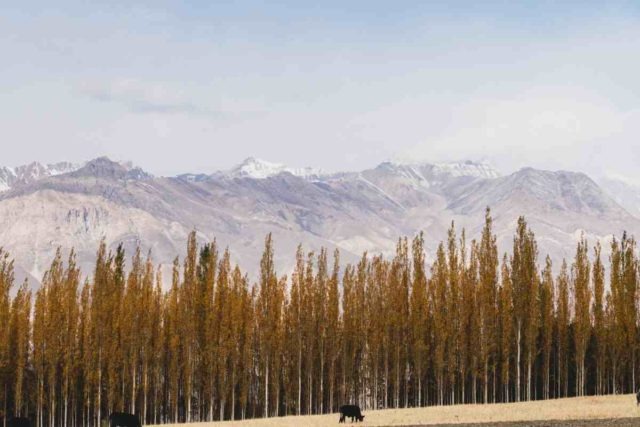 gravel cycling in Tajikistan