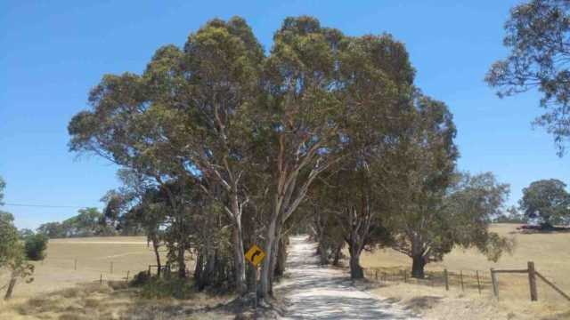 gravel cycling in australia