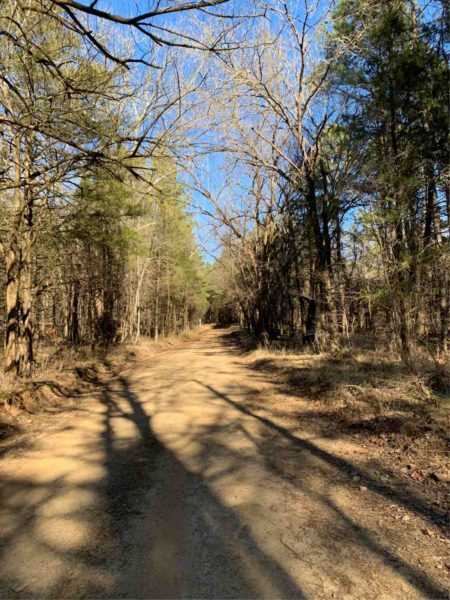 tour of the hollows 2020