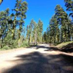 riding gravel bikes in downeyville california