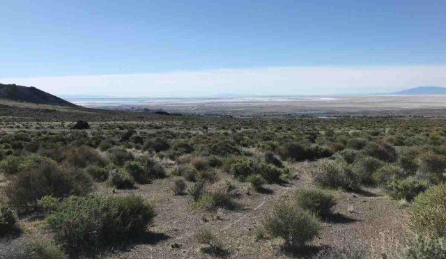 salty lizard 100 gravel race