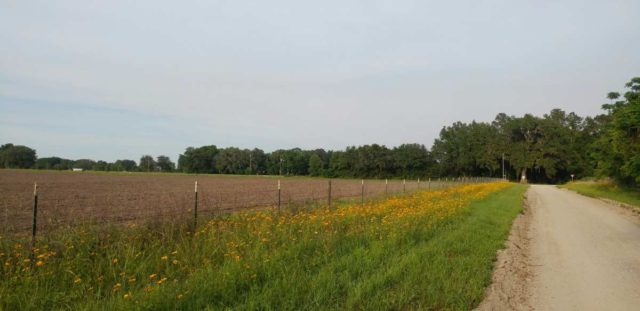 gravel cyclist after work training ride