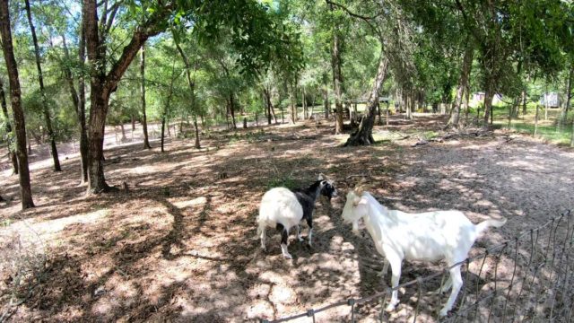 cycling in hawthorne florida
