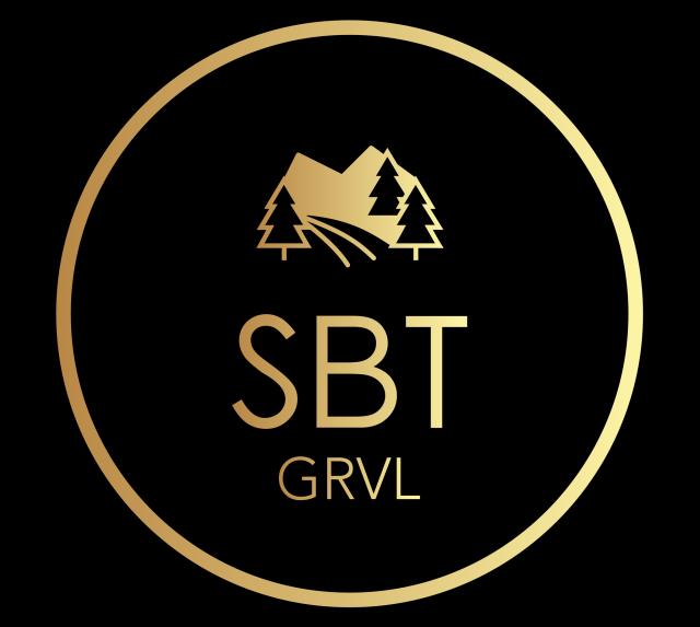 SBT VRTL ride experience 2020