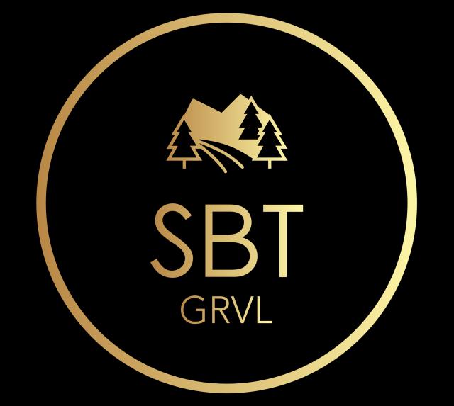 SBT VRTL ride experience 2020
