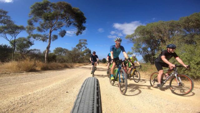 gravel cycling in the barossa valley