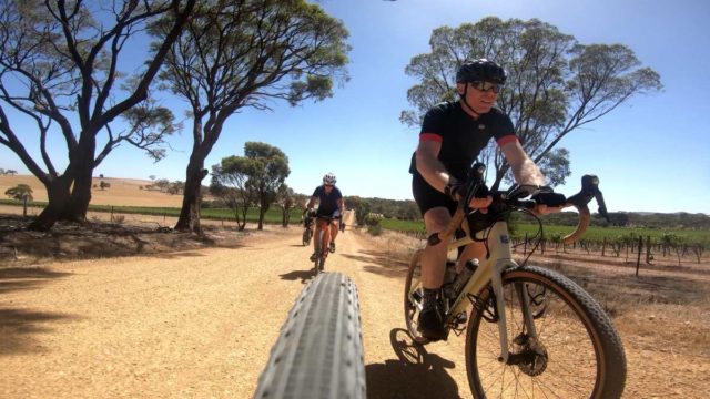 gravel cycling in the barossa valley
