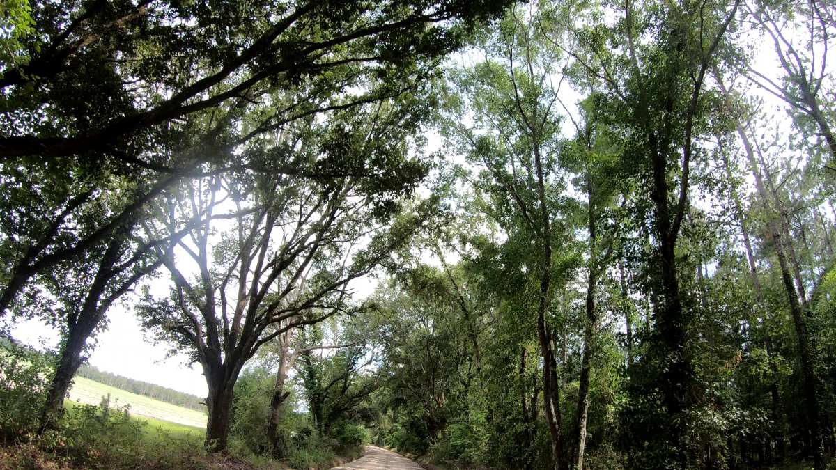 gravel cycling in southern georgia