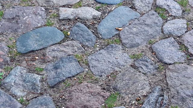 gravel cycling on the island of usedom