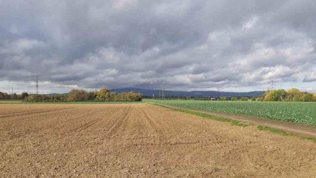 Greffelründsche gravel around frankfurt