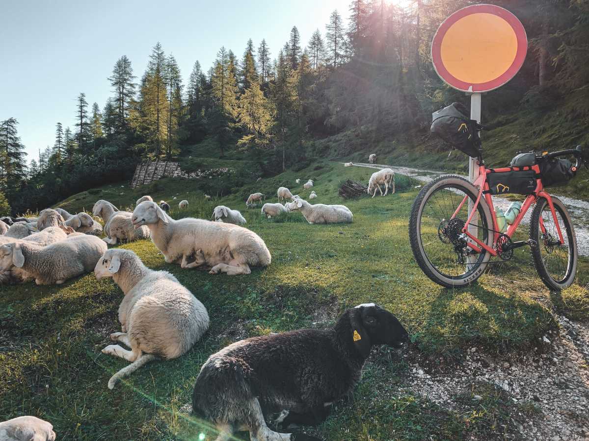 gravel cycling in slovenia