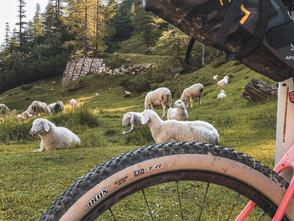 gravel cycling in slovenia