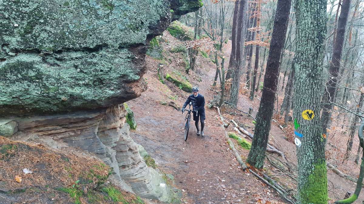 Nikolaus Gravel Ride 2020