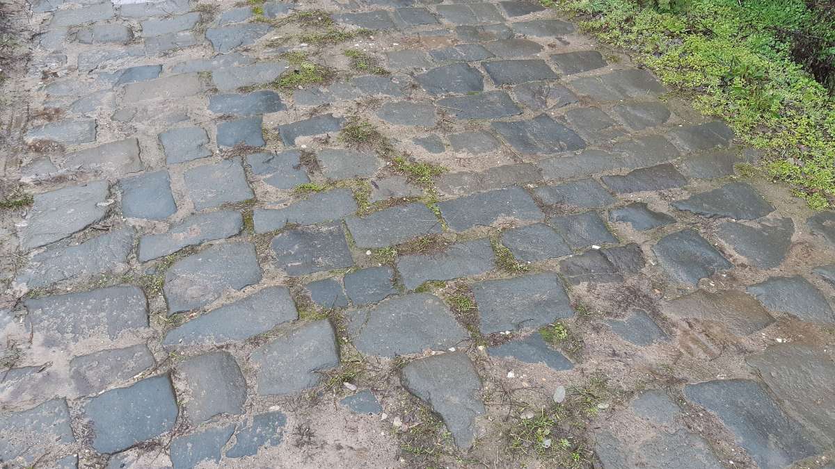 Nikolaus Gravel Ride 2020