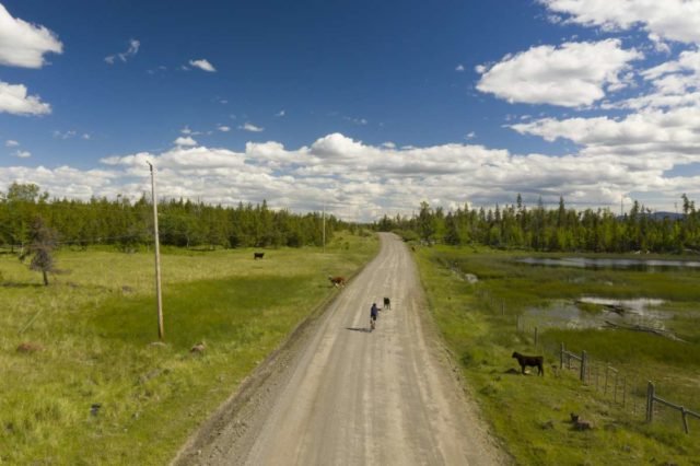 shimano path less paved video