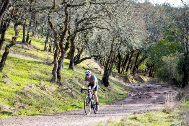 WTB Terra Light Wheelset review