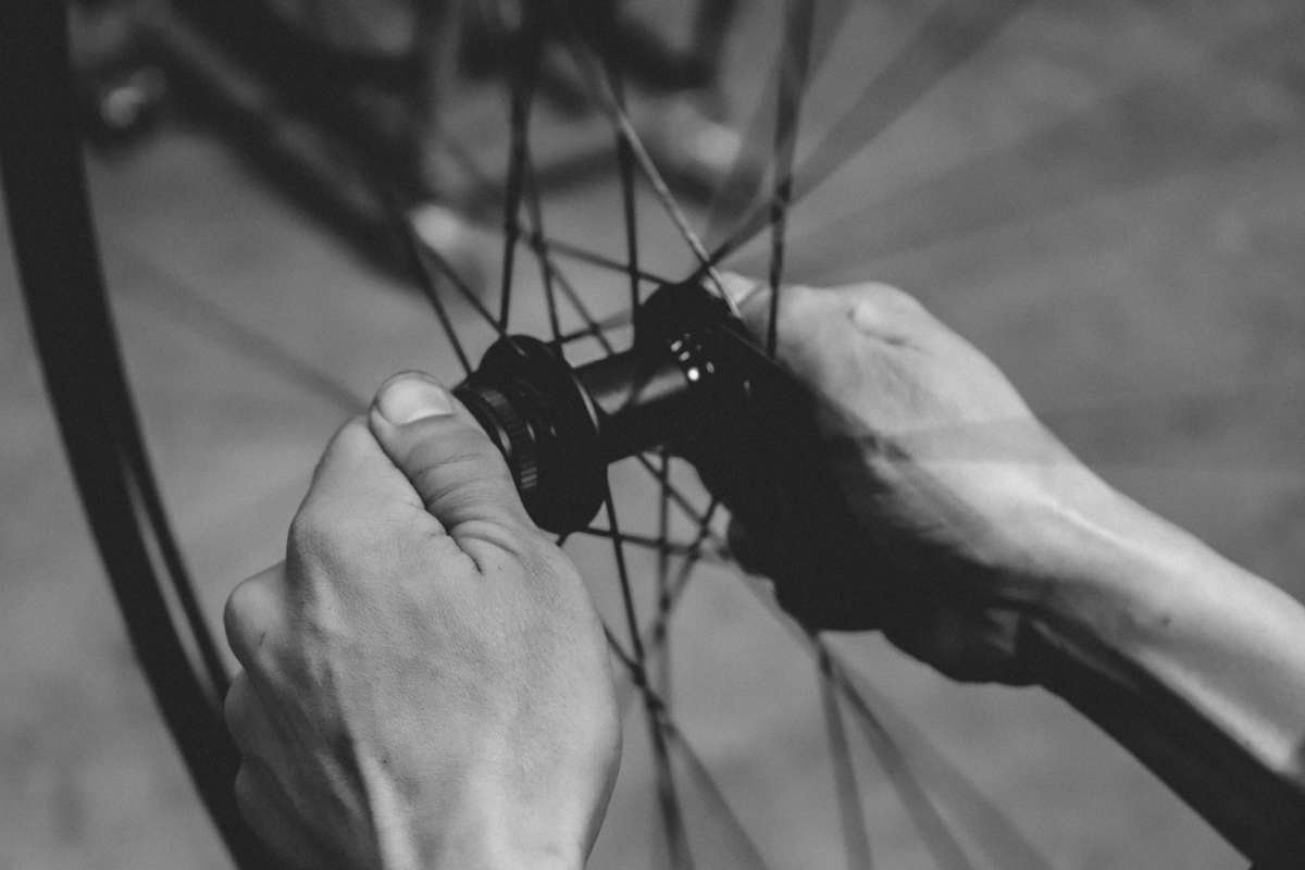 WTB Terra Light Wheelset review