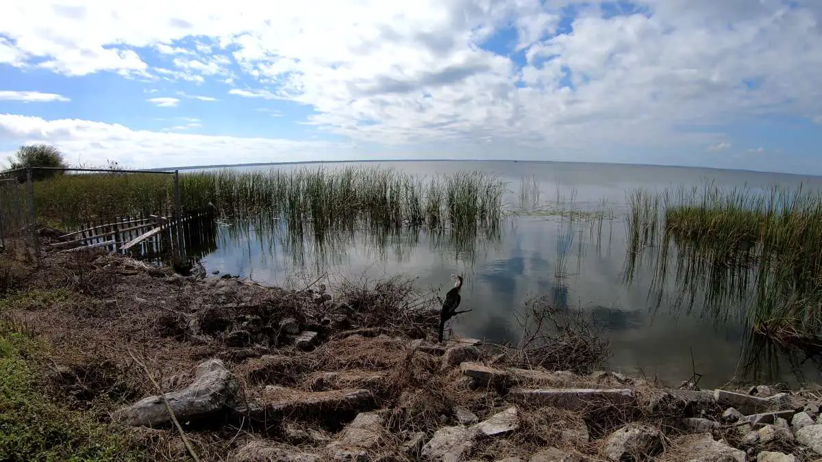 Winter Garden, Lake Apopka & the Clay Loop of Central Florida! Gravel Cyclist The Gravel