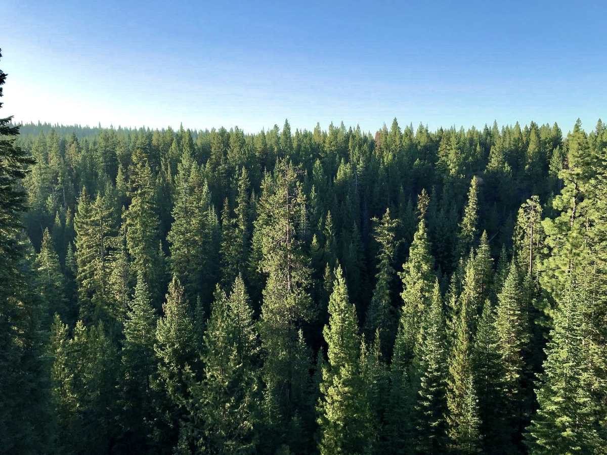 best of both race bend oregon