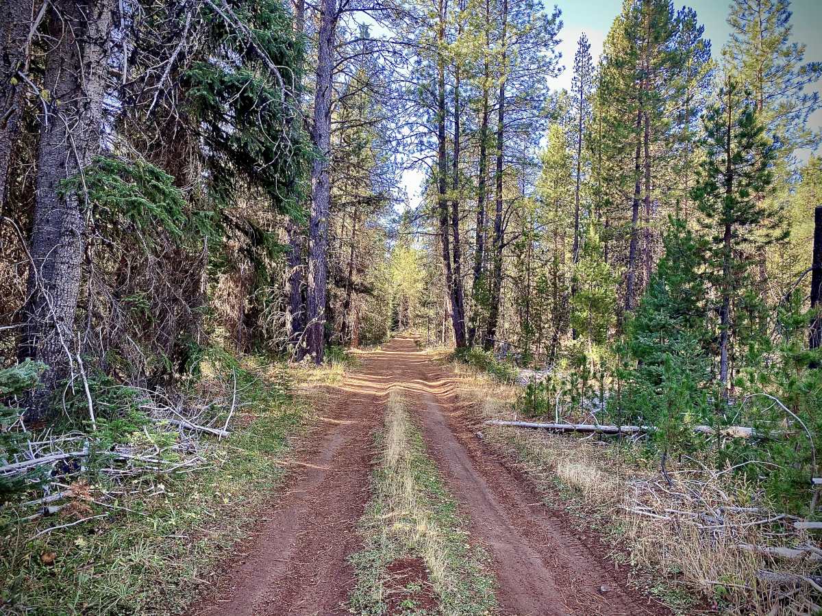 Northwestern Gravel, Paved Mountain Roads, & singletrack dirt combine at the 2021 Best of Both