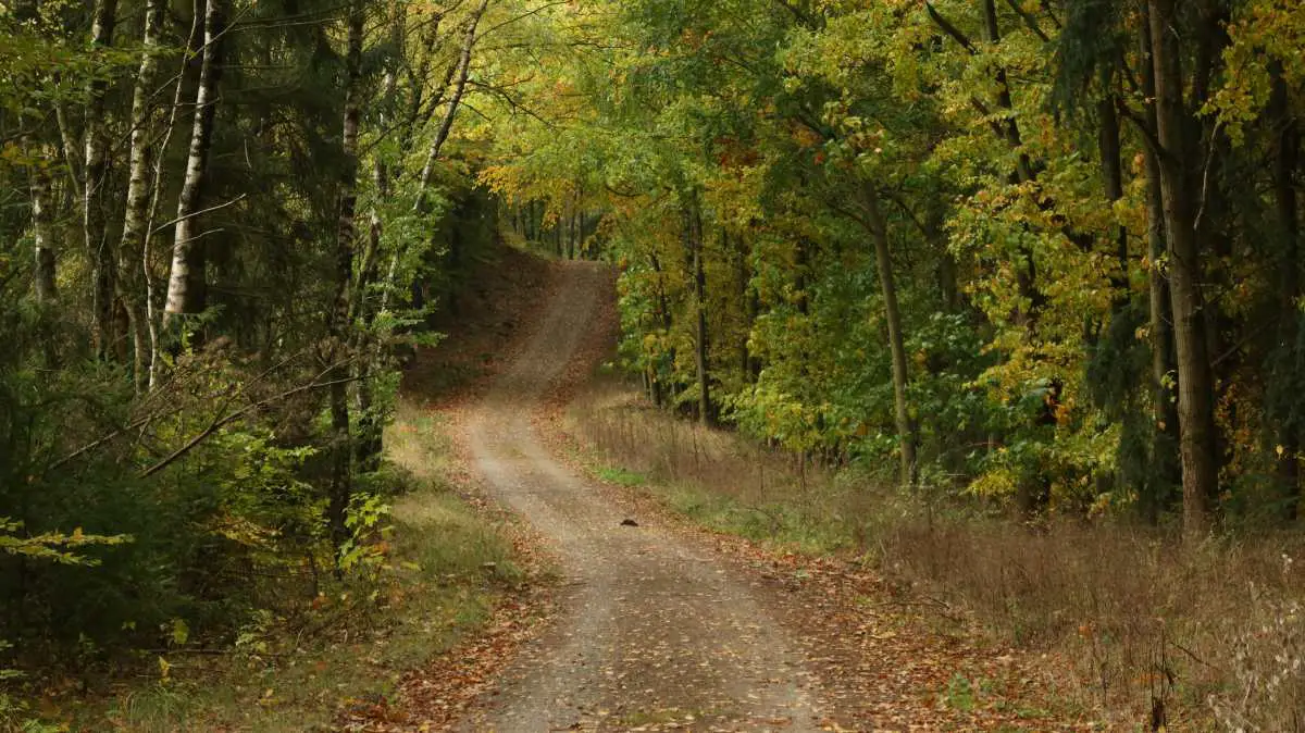 Bikepacking & Photos inside the former Iron Curtain Part Three, by