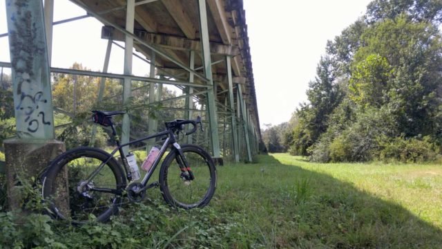 panaracer tires ambassador program