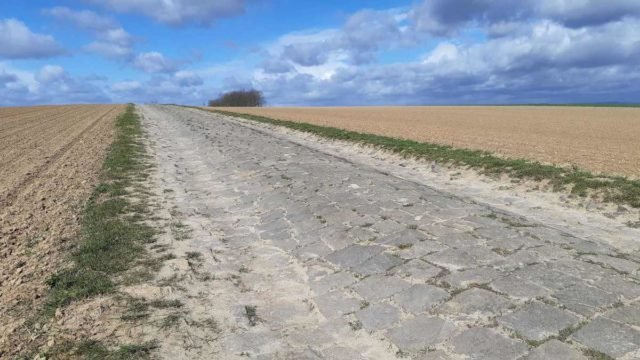 ctf mainz germany cobblestones
