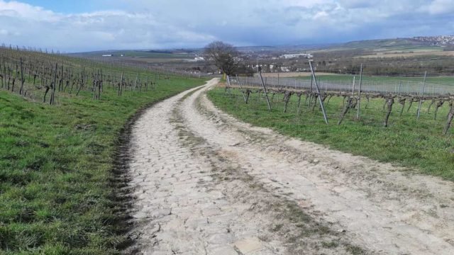 ctf mainz germany cobblestones