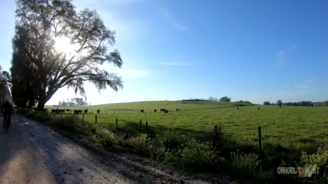north florida freeride gravel series