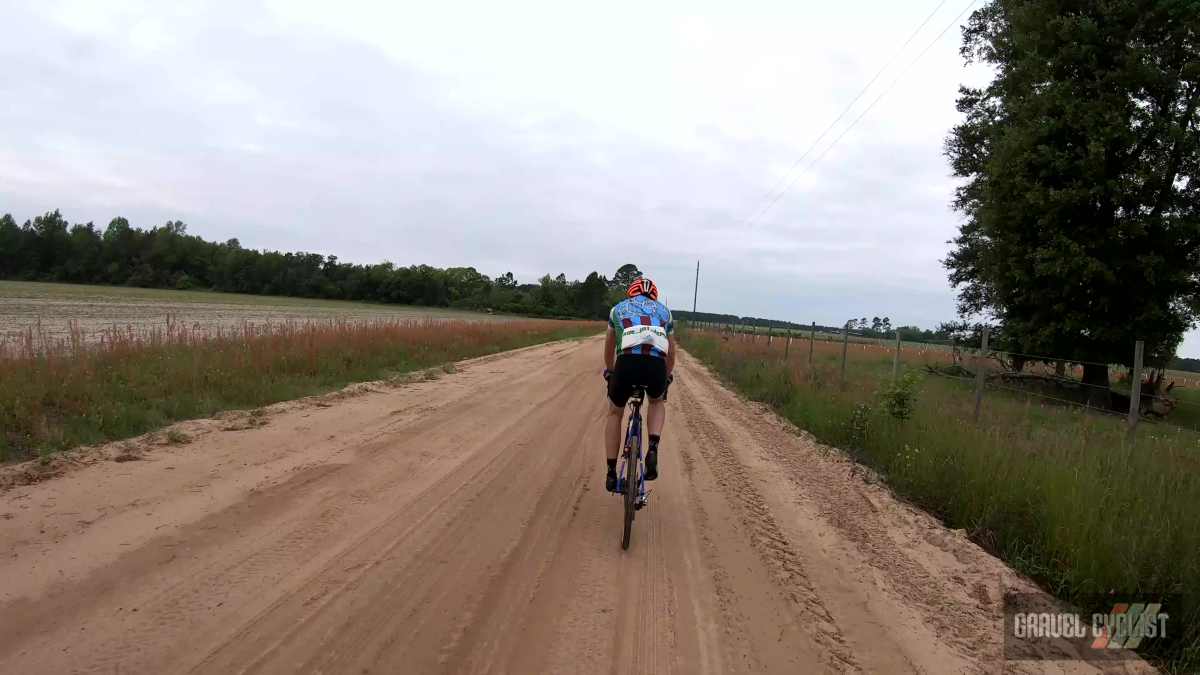 2021 wild chicken 100