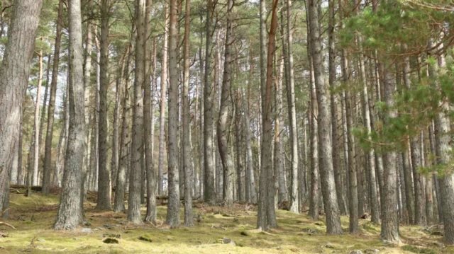 Cateran Ecomuseum scotland
