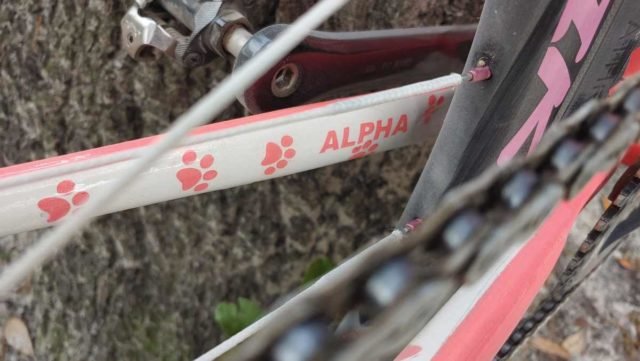 squid bikes so-ez tracklocross review