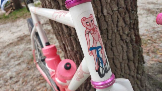 squid bikes so-ez tracklocross review