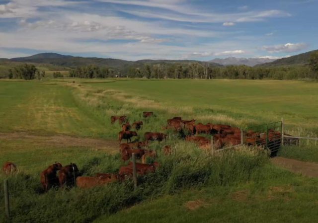 Ranchers, Gravel Cycling Community Come Together in Steamboat Springs