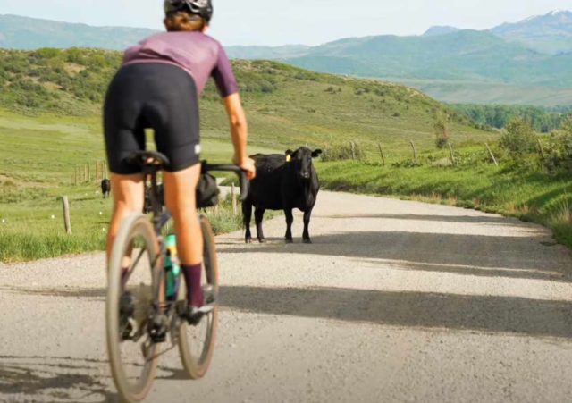 Ranchers, Gravel Cycling Community Come Together in Steamboat Springs